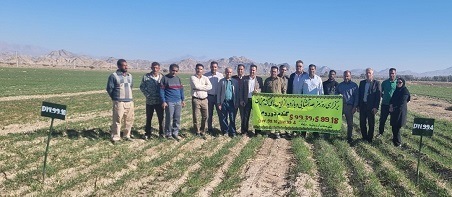 برگزاری روز مزرعه در شهرستان ارزوئیه